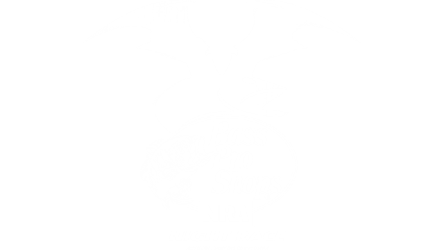 Bass Pro Shops Night Race